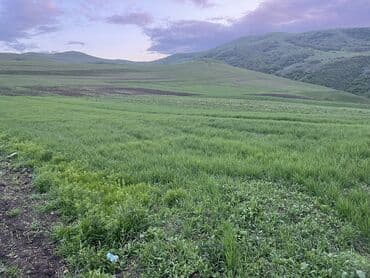 xacmaz torpag: 10 sot, Tikinti, Mülkiyyətçi, Kupça (Çıxarış) — 2