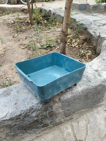 goyərcin yuvaları: Kerella yuva 7 eded 4 Iran qefesi 10 eded 10 azn Balaca yuva 47 eded — 5