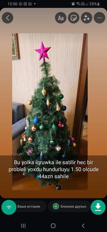 xurma ağacı: Yolkalar şaxda baba sekillerde qiymət məlumat qeyd olunub unvan Gence — 10