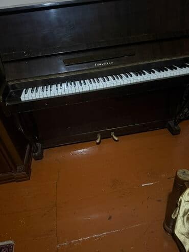 деревянные духовые музыкальные инструменты: Piano, Akustik — 3