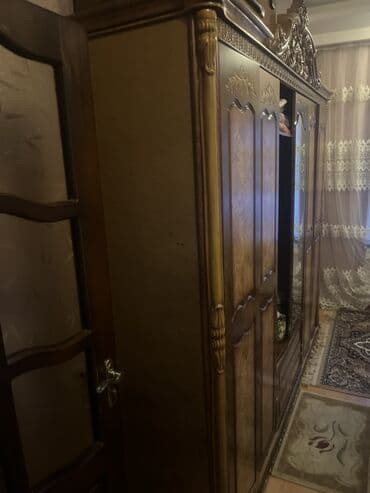 Renault: Распашной, Прямой шкаф, Гардеробный шкаф — 2