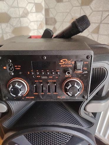 flash kart: Səs gücləndirici/karaoke kolonka – Sing-e ZQS12205 - İnteqrə olunmuş — 4