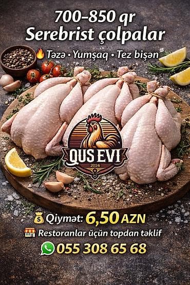 Digər brend Chicken Bütöv, Topdan, Pulsuz çatdırılma lalafo.az -da Digər brend Chicken Bütöv, Topdan, Pulsuz çatdırılma
