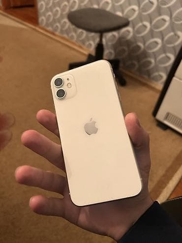 IPhone 11, Ağ