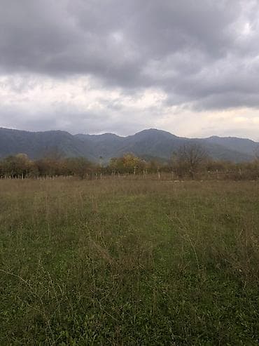 35000 sot, Kənd təsərrüfatı, Kupça (Çıxarış) lalafo.az -da 35000 sot, Kənd təsərrüfatı, Kupça (Çıxarış)