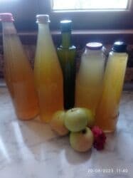 puls oksimetr: 🍎Hələ qədim zamanlardan xalq təbabətində geniş istifadə olunan alma — 5