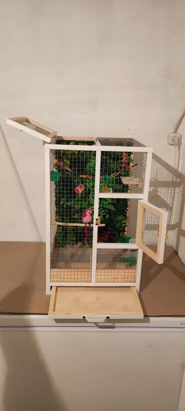 pişik üçün yuva: Papuqay,dovşan,hamster,şinşila,bildirçin,cücə,xamyak,pişik,quş,tısbağa — 3