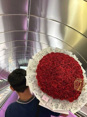 Mücrülər: Zakaz qəbul olunur — 1