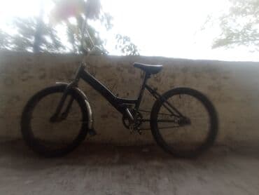 Salam lalafo.az -da Salam