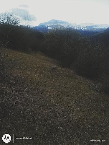 turkanda heyet evleri 2020: Kənd təsərrüfatı — 10