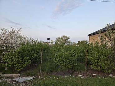 atciliqda satilan evler: Ağ çiçəklərlə bol-bol açan meyvə ağacları – bağ salmaq və ya landşaft — 4