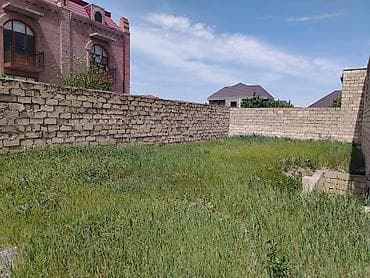 su bacok: Tikinti — 7