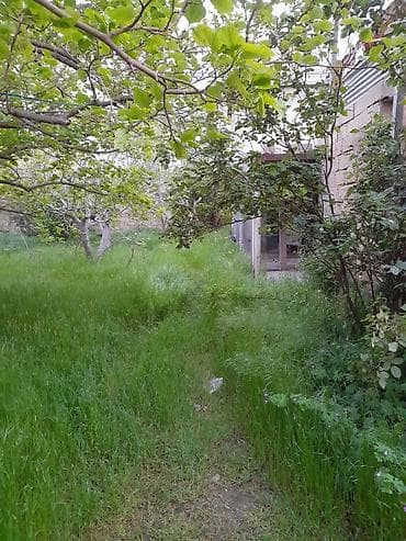 8 sot, Kənd təsərrüfatı, Kupça (Çıxarış) — 8