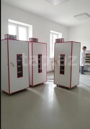 inkubator matoru: İnkubator 1000 yumurtalıq zakasla yigilir çıxış faizi 85-90 fayizi — 1