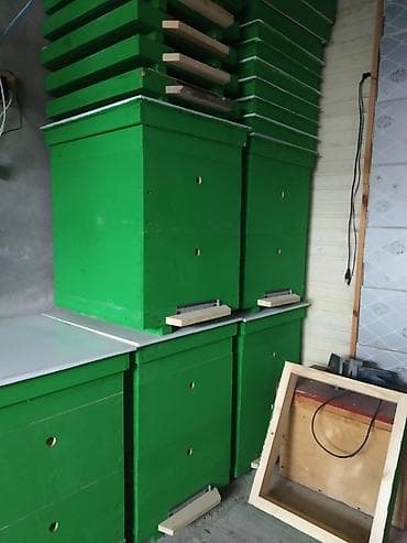 hinduska cucesi satilir: Arı yeşikləri. Hər növ arı yeşikləri, ramkalar. Lejat, dadan, 10 — 4