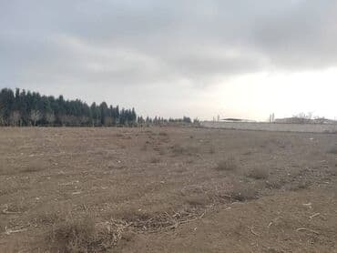 türkanda bağ evi satılır: 34 соток, Для строительства, Собственник, Купчая — 10