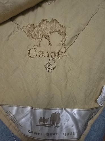yastiq sekilleri: Devə yunu yoğan – “Camel” Məhsul təsviri: - Tərkib: dəvə yunu — 3
