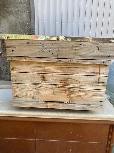 qara mal: 🐝 TƏMİZ BOZ QAFQAZ ARILARI SATILIR 🍯 Arıçılıqla məşğul olanlar üçün — 2