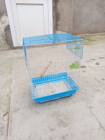 danişan quş: Quş qəfəsləri – müxtəlif rəng və komplektasiyalarda Məhsul təsviri: - — 5