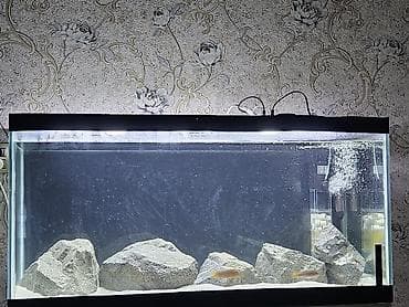 Akvarium satılır ölçüləri 100x45x50 215litr su tutur üst rebroları