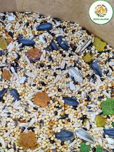 en ucuz uc: Tutuquşu yemi.(papuqay yemi) Yüksək keyfiyyətli tutuquşu yemini sizə — 13