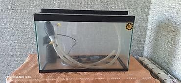 filter akvarium: Dördbucaq akvarium, Boş, 60 l, Ünvandan götürmə — 1