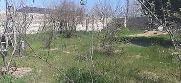 qara qarayevde yeni tikililer: Tikinti — 7