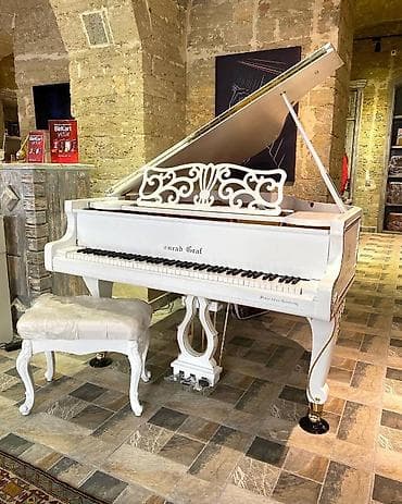 Conrad Graf DE170 royalı. 1824-cü ildən mövcüd olan Avropa istehsal