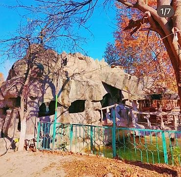 qalada torpaq satışı: Torpaq sahələrinin satışı — 10