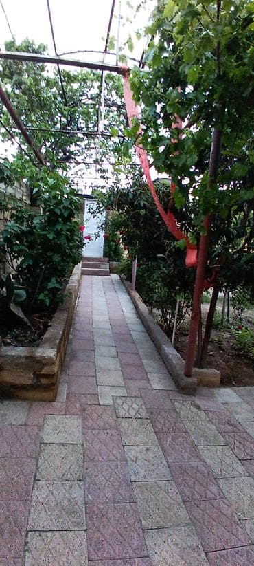 pirallahida ev satilir: Salam ev Sulutəpədə yerləşir 4 otag tam təmirli 3,8 sotun içində — 7