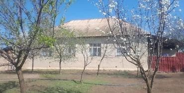 2 otaqlı, 126 kv. m, Kredit yoxdur, Orta təmir
