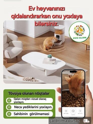 pişik ucun qab: Yem qabı Kamera və WiFi ilə Artıq evdə saxladığınız sevimlilərinizi — 3