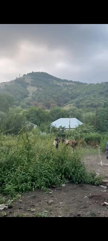saray heyet ev type 1: Kənd təsərrüfatı — 4