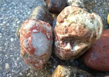 kabancik daslari qiymeti: Çay daşları .qiymət şərtidi . Çox gözəl dekorativ çay daşlarıdı — 2