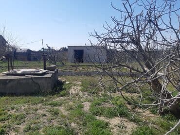 xacmaz makler: 12 sot, Makler, Kupça (Çıxarış) — 2