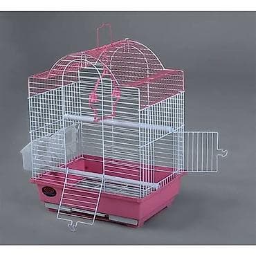 quş yuvasi: 20 MANATDAN BAŞLAYAN QİYMETLERLE — 7