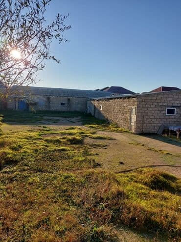 xacmaz rayonu: Bakı, Qala qəs., 550 kv. m, 3 otaqlı, Hovuzsuz, Artezian quyusu, Qaz, Su — 2