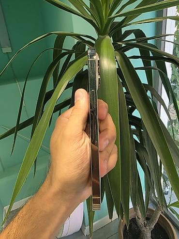 rtx 4080 ti: IPhone 14 Pro Max, Qızılı — 3