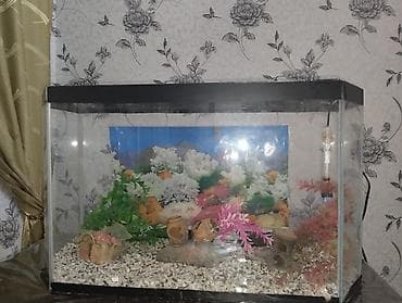 akvarium işığı: Boş, 84 l, Ünvandan götürmə — 2