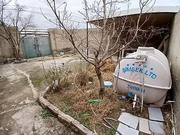 ev meymunlari: 3 otaqlı, 100 kv. m — 5