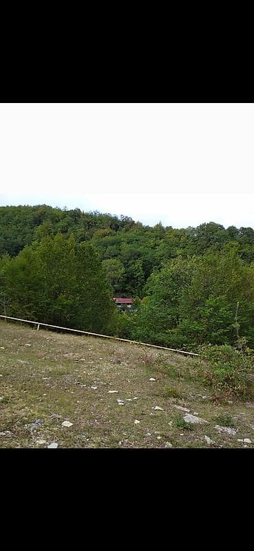 sabuncu ev: Dağ-meşə mənzərəli kənd evi – qonaqlama üçün - Yaşıllıqla əhatə — 1