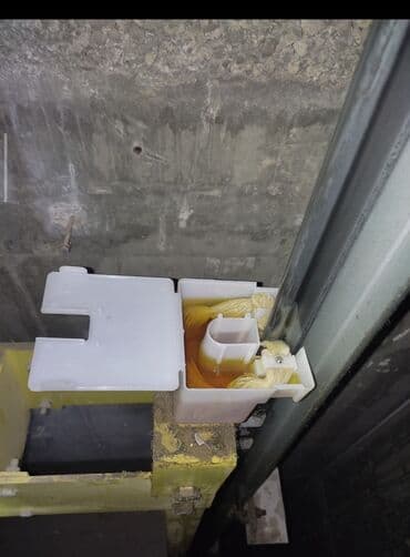 приюты для животных в баку: Satisda — 2