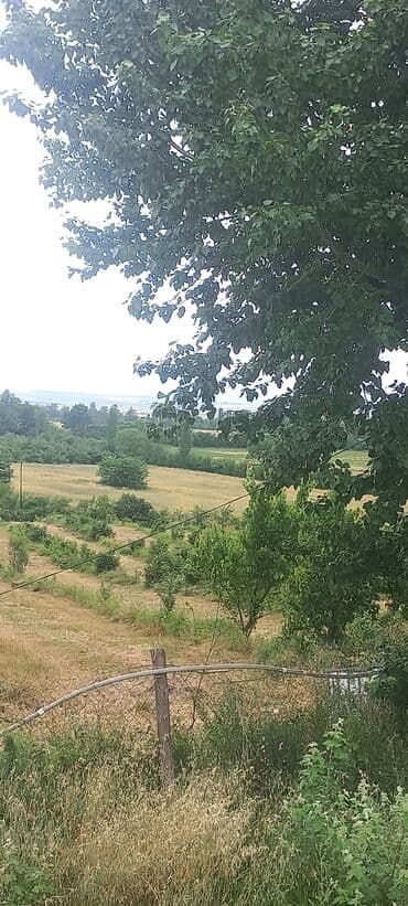 mağaza üçün yer icarəyə götürürəm: Ünvan: Qusar şəhəri Ləyər kəndi (ləzgi ləyər) 1hk 68 sot bağ yeri — 6