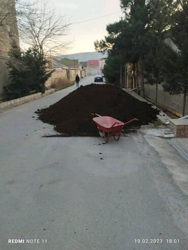 Вилки: Qara torpaq ve Peyin. Artıq Payız gəlişi ilə əlaqədar bağlara — 15