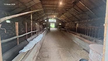 əmircanda ev: Dağ ətəyində yerləşən FERMA 2 hektar erazi iribuynuzlu ve — 5