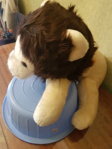 советская мягкая игрушка: ● Yumşaq ŞİR oyuncaq ● Almaniya istehsalı. ( Made in GDR ). Sovet — 5