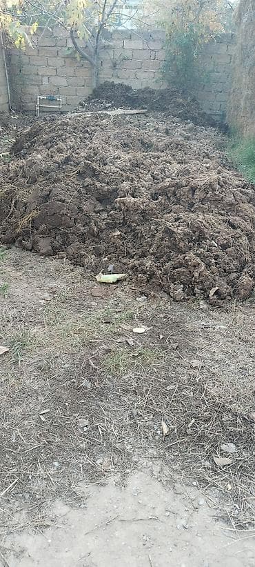 Təbii fermadan çıxan üzvi peyin - Tərkibi: tamamilə təbii, saman və — 2