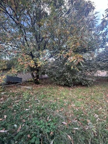 fatmayı torpaq: 10 sot, Mülkiyyətçi, Kupça (Çıxarış) — 3