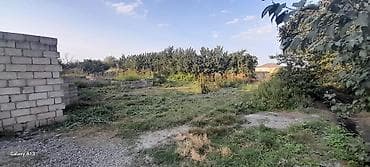ismayilli torpaq satilir: 6 sot, Tikinti, Mülkiyyətçi, Kupça (Çıxarış) — 7