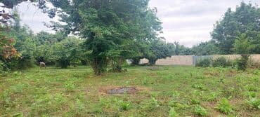 fatmayı torpaq: 11 sot, Tikinti, Maklerlər narahat etməsin, Kupça (Çıxarış) — 4